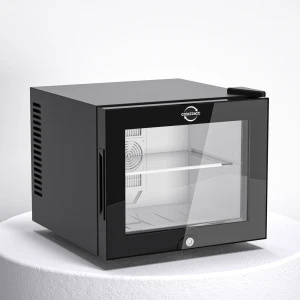 20L Mini Fridge Compact Refrigerator Thermoelectric Cooler Energy Efficient Beverage Cooler for Bedroom Dorm RV Hotel O