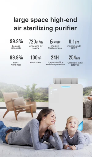 Household smart removable HEPA filter plasma air disinfection purifier