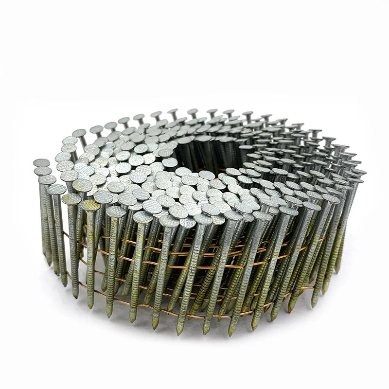 Buy Coil Nails 2 Inch Coil Nails Hot Dipped Galvanized Coil Nails from
