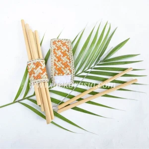 Bamboo Straw Set with Bamboo Napkin Ring Type A | Drinkware | Free Shipping