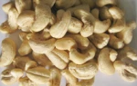CASHEW KERNEL LBW