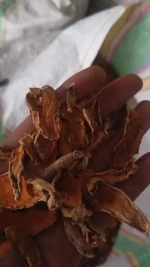 Dried Turmeric cut/slices
