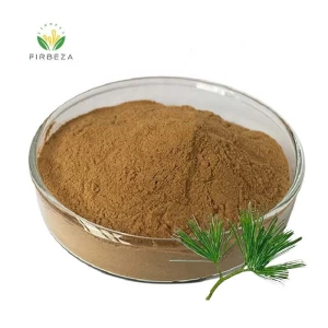 Organic Pine Needle Extract 10:1 Pine Needle Powder