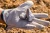 Import Platinum Group Metals Minerals from South Africa