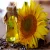 Import Refined Sunflower Oil from South Africa