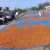 Import Dried Turmeric cut/slices from Indonesia