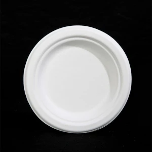 Sugarcane Degradable Small Disposable Party Tableware Plate