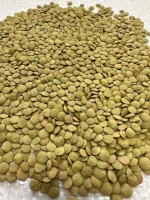 All types Lentils And Chickpeas Wholesale Supply