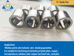 Carbide guide die