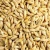 Import Barley Grains Premium Malted Barley Animal Feed Barley Seeds In Stock Low Price Buy Fast Delivery Best Price Available from Tanzania