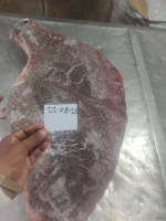 Sting Ray Wings