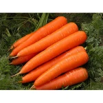 100% premium Fresh Red And Delicious Carrots