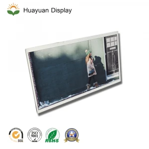 10.1 Inch 1280*800 Resolution LCD Module Using for The Digital Photos or Potable DVD Player