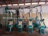 12-14TPD flour mill plant flour making machine maize meal production process