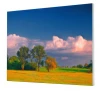 1220827219 Oil landscape painting  on canvas painted with oil paints for home decor