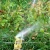 Import 1/2&quot; Zinc Alloy garden sprinkler from China