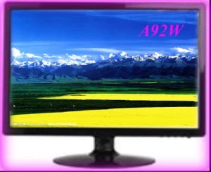 19 Inch LCD Computer Monitor with DVI