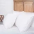Import 2-4CM White Goose Down Feather Neck Back Pillow With Machine Cleaning Non-Toxic Odorless Down Feather from China