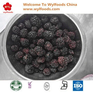 2017 new season iqf frozen blackberry fruit