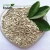 Import 2018 Crop Confectionary Sunflower seeds kernel from China