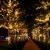 2020 holiday lighting tree decoration led outdoor christmas lights