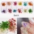 Import 3D Nail Art Sticker Decals, 24 Colors Real Natural Small Pressed Dried Flowers Nail Art from China