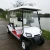 Import 4 Wheel Drive Electric Golf Cart, Scooter,White Gas Sightseeing Cars from South Africa