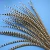 Import 44 inches (110 cm) Hot Sale Feather Wholesale Cheap Large Natural Reeves Pheasant Tail Feathers For Carnival Head Decoration from China