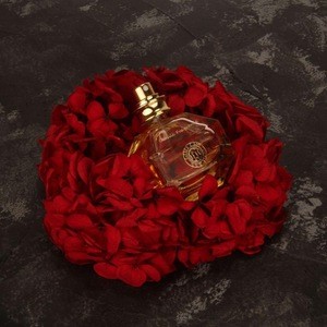 50ml OEM Luxury Women Parfum de marque,Branded Men Perfume