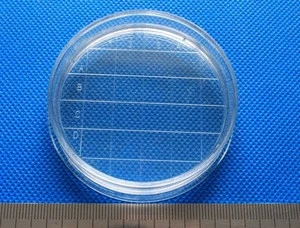 55mm 65mm 75mm Sterile Rodac Contact Plate for Surface Microbial sampling Petri Dish