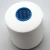 Import AA Grade Polyester High Tenacity Sewing Thread 250D/2 250D/3  RW and Colored from China