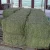 Import Timothy Hay, Rhode Hay wholesale price from China