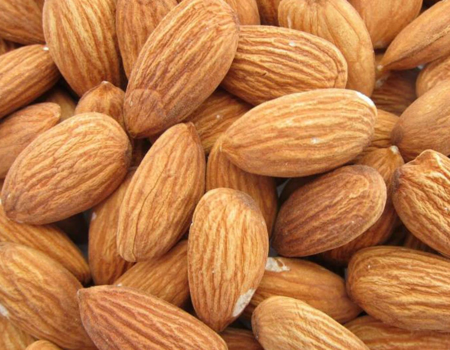 Almond Nuts/ Almond Kernel