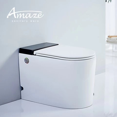 Amaze Ceramic Bathroom Tankless Concealed High Quality Cistern Pulse Toilet Closet