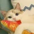 Import Amazon Hot Selling Simulation Anti Bite Plush Dancing Fish Catnip Pet Chewy Cat Toys from China