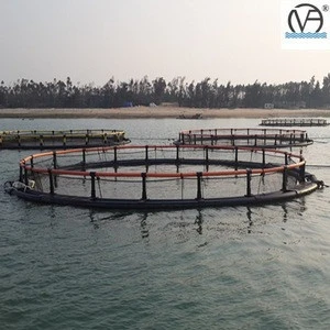 Buy Premium floating cage fish For Fishing 