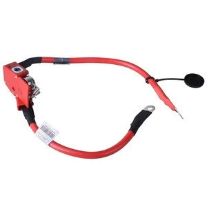 Auto Electrical System 61129259425 61126834543 61 12 9 259 425 61 12 6 834 543 Positive Battery Cable For F30 F34