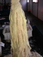 Fresh & Frozen Beef, Sheep, Goat Casings in Best Price
