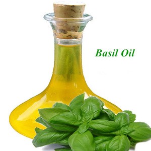 Best price 100% Pure and Natural Basil Essential Oil bulk.