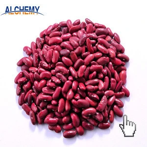 Black kidney beans in hindi are white good for weight loss