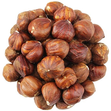 Bulk Northeast wild hazel nut for sale  | Hazelnuts for sale