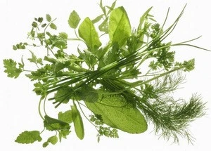 Buying herbs online in china bulk supply excellent herb