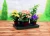Import Capillary mat self-watering planter watering mat tray from China