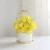 Import Ceramic Vase With Gold Frame White Porcelain Home Decoration Plant Planting Flower Pot from China