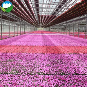Cheap agricultural glass materials multi-span greenhouse sale