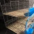 Import Cheap breeding rabbit cages female rabbit cages from China