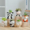 cheap mini cute animal flower pots planters ceramic _pots_planter ceramic planters for indoor plants