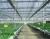 Import Cheap Price 2 layer transparent board greenhouse film for vegetables seeds from China