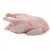 Import CHEAP PRICE PROCESSED HALAL FROZEN CHICKEN QUARTER LEGS/ WHOLE CHICKEN/GRADE (A) CHICKEN from South Africa