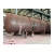 Import Cheap promotion Liquid nitrogen storage tank For body temperature storage from China
